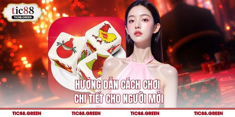 Hướng dẫn cách chơi chi tiết cho người mới