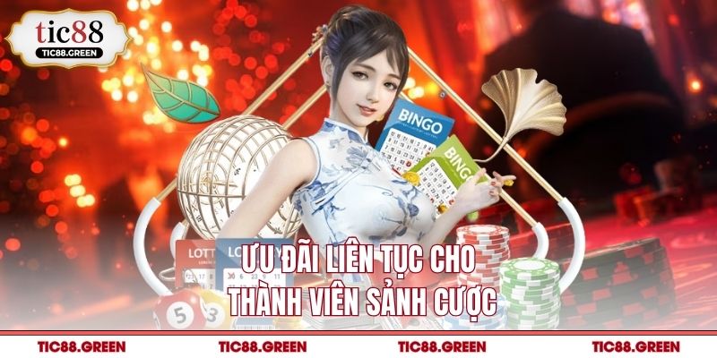 Ưu đãi liên tục cho thành viên sảnh cược